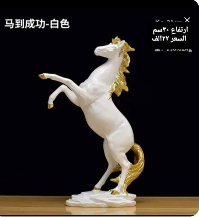 اسود وابيض من يزن للهدايا للحجز الاتصال بلصفحة أو الرقم *********** يوجد توصيل
