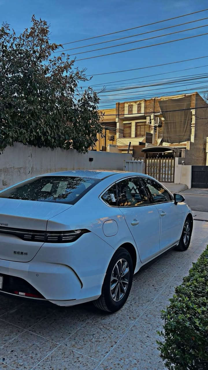 دسترويل • ٢٠٢٥ • مكفولة