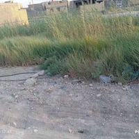 طابو أسهم • ١٣٠م • سديناويه شارع السفينه