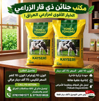 بذور الجت • ١٠ كغم • صنف كايسري