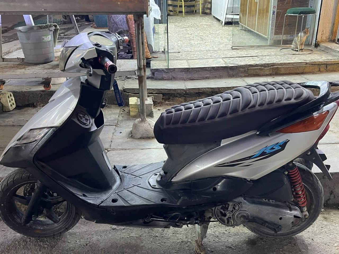 ثعلب • رياضي • فول