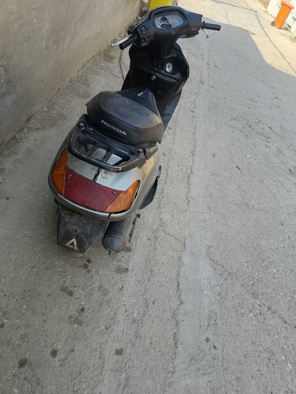 سبيسي • ياباني • كوت العزه