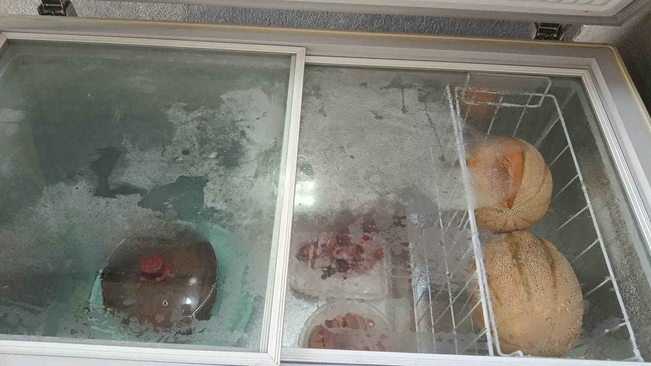 مجمدة • حجم كبير • تجميد فول