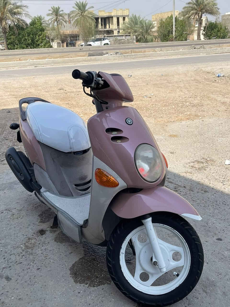 فله • كارتون • اشاير