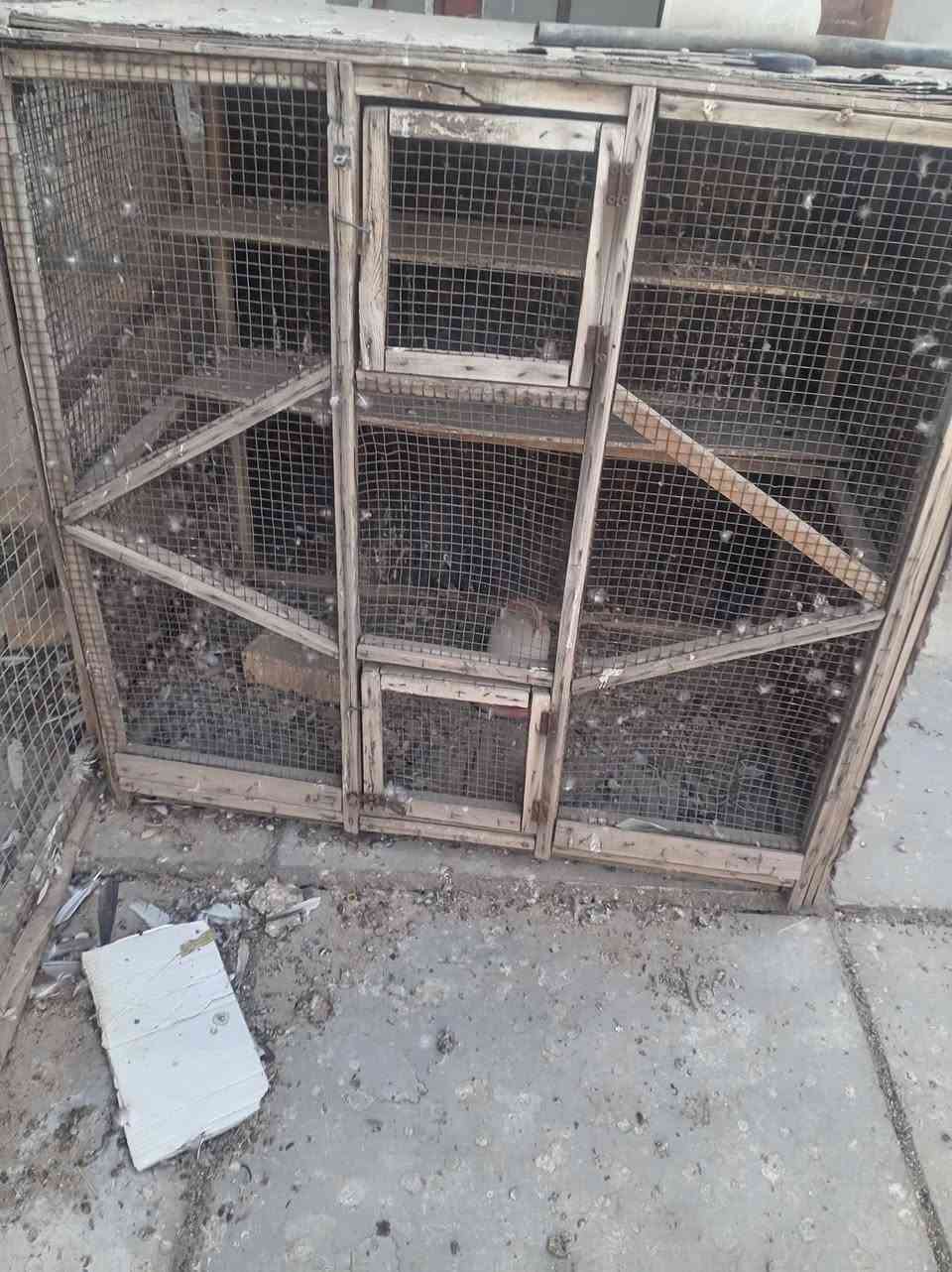 سلام عليكم قفاص للبيع مع حلات طوارت مي كلهن رايدهن ١٠٠ عنوان بغداد الشعب رقم ***********
