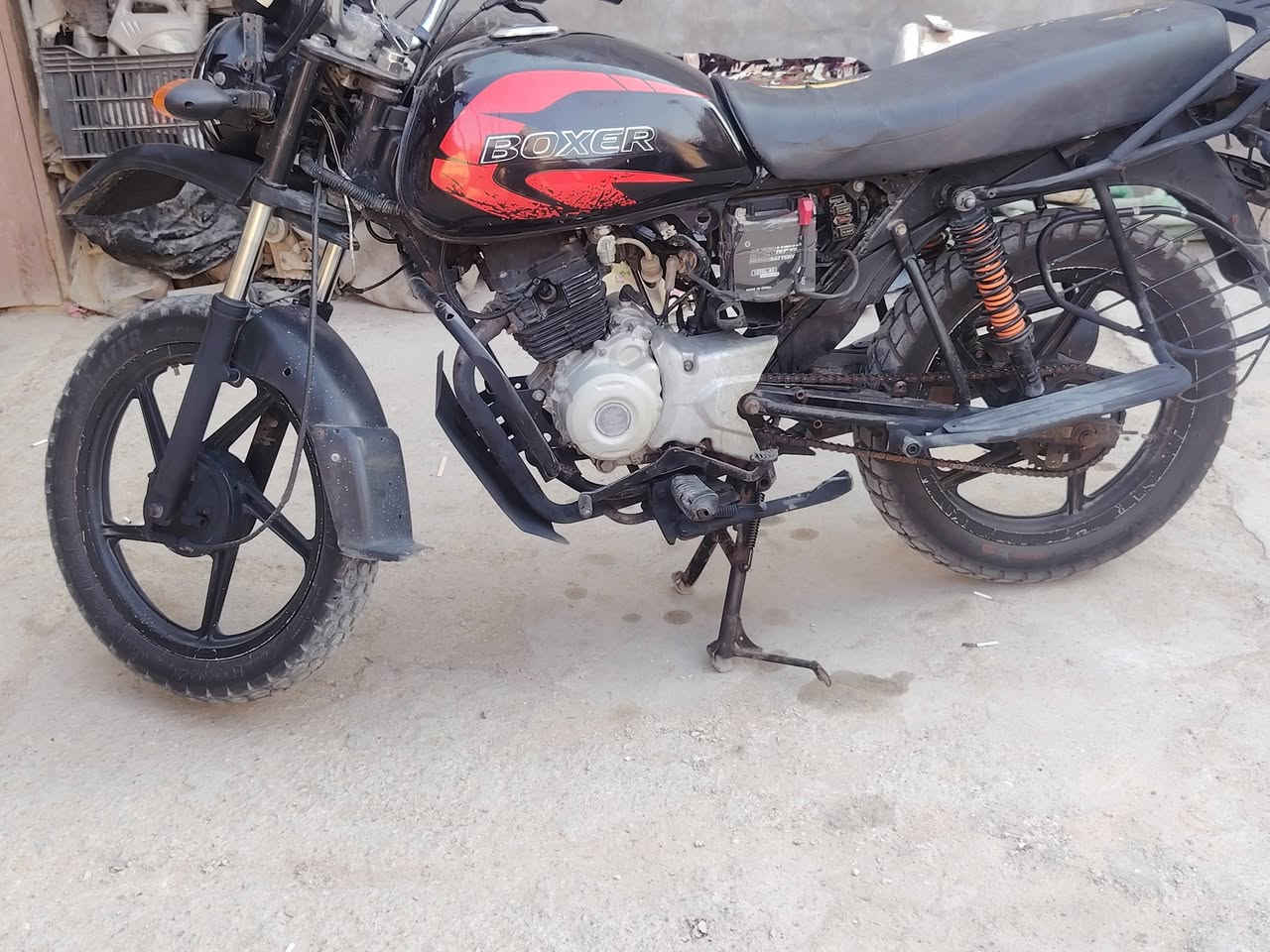 بوكسر • ٢٠٢١ • مكفوله