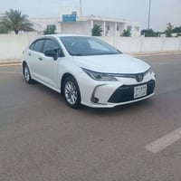 كورلا • ٢٠١٩ • رقم سليمانيه