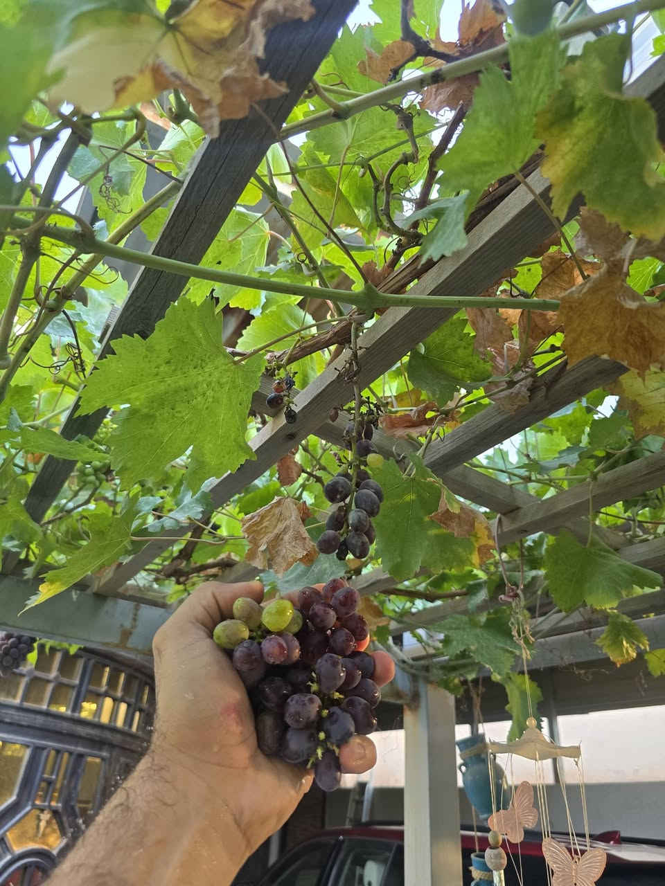 دار للبيع طابو سكني
طابقين
دور النفط / دور المهندسين / قرب سدة دور النفط / وقرب اسالة ماء دور النفط
المساحة 443 م²
الوجهة 16.5م النزال 27م
بناء 2016 
نظيف جدآ 
الارضية للطابقين من اجود انواع المرمر والكرانيت
كامل وجاهز للسكن بدون اي نقص
نصف مؤثث
يتكون من
 كراج 75 م² 16×4.5م - يسع 3 سيارات كبيرة
حديقة 100 م²
* الطابق الارضي يتكون من غرفتين 4×5 م
استقبال 8×4 م مع مدخل وصحيات خاص للضيوف
صالة ومدخل رئيسي للبيت 8×4 م
مطبخ حار وبارد 6×4 م
غرفة غسيل ملابس 
مخزن كبير 4×6 م
مخزن صغير 1.25×1.5 م
حمام 1.5×2 م
تواليت 1.25×1.25 م
* الطابق الاول يتكون من
3 غرف نوم كبيرة
صالة كبيرة
مطبخ
صحيات
* مؤثث بالكامل وجاهز للسكن 
مع سبالت عدد 8 شغالة وممتازة جدآ
3 كنتوري
5 جداري
منظومة كاميرات
منظومة تحلية مياه الشرب
منظومة تصفية مياه الاسالة
سخان عدد 2
منظومة انترنيت
ماطور مياه صاعد 
ماطور مياه نازل
للاستفسار والتواصل الاتصال على رقم الهاتف
***********
