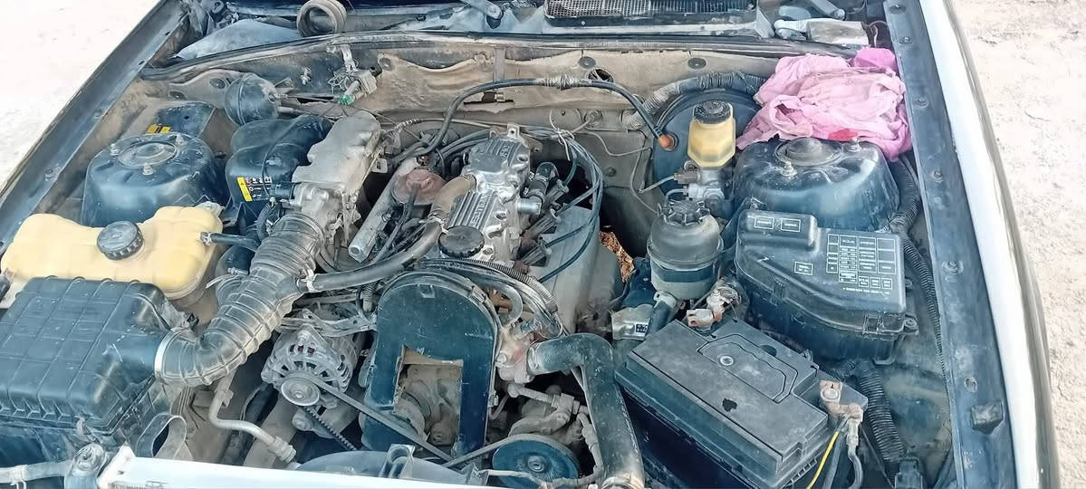 برنس ٩٥ • كير عادي • رقم بغداد