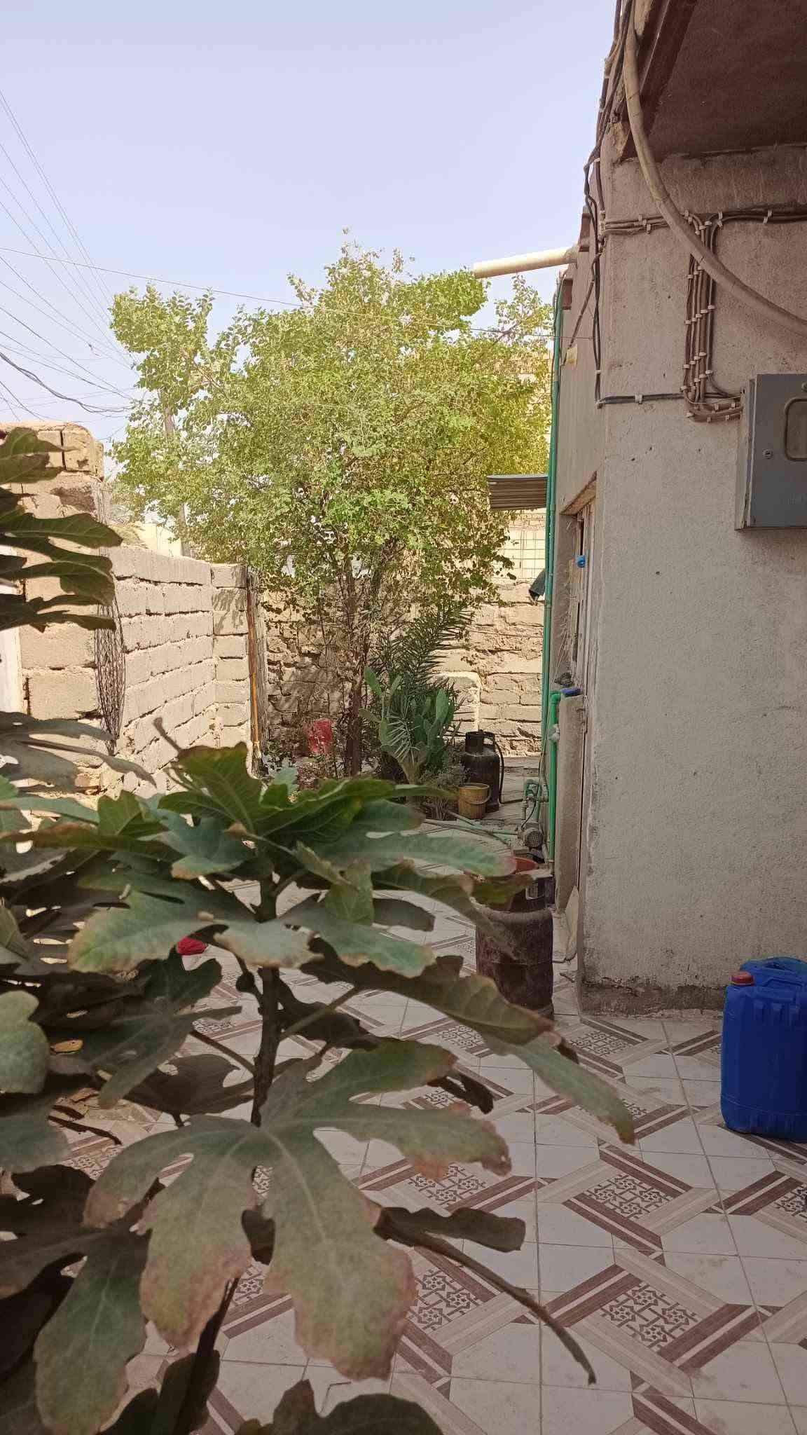 🏠 *بيت زراعي للبيع*
📍 *العنوان: الدجين - على شارعين*

*📐 المساحة:* 190 متر
*💰 السعر:* 51 مليون

*🏗️ نوع البناء:*
فرمستون - عگادة - شيلمان
الواجهة ملبوخة لباخة نظيفة وحلوة
البيت كله سيراميك مرتب
الصبغ نظيف ومرتب وجاهز للسكن مباشرة

*📋 التفاصيل الداخلية:*
✔️ غرفتين نوم
✔️ استقبال
✔️ ديوانية
✔️ مطبخ
✔️ صحيات داخلية
✔️ طارمة

*✨ المميزات:*
يوجد مساحات متروكة فارغة داخل البيت:
- ترك عبارة عن ممر كبير وطويل
- ترك خلف احد الغرف
(تصلح حديقة - بناء ملحق - كراج)

*📌 الموقع بالضبط:*
الدجين صاير على شارعين:
1- شارع مديرية الكهرباء الجديدة الي امام الكراج
2- شارع الروضة خلف جماعة البالات الي يبيعون كنتورات واثاث

للاستفسار ---
واتساب ***********
اتصال ***********
