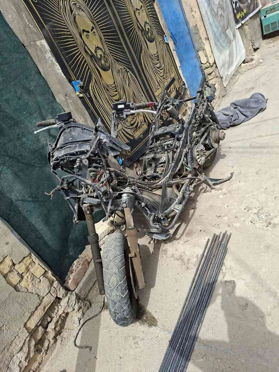 سلفر 600 • محتاج عقل • محتاج ضفيره