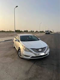 سوناتا • ٢٠١٣ • وارد أميركي