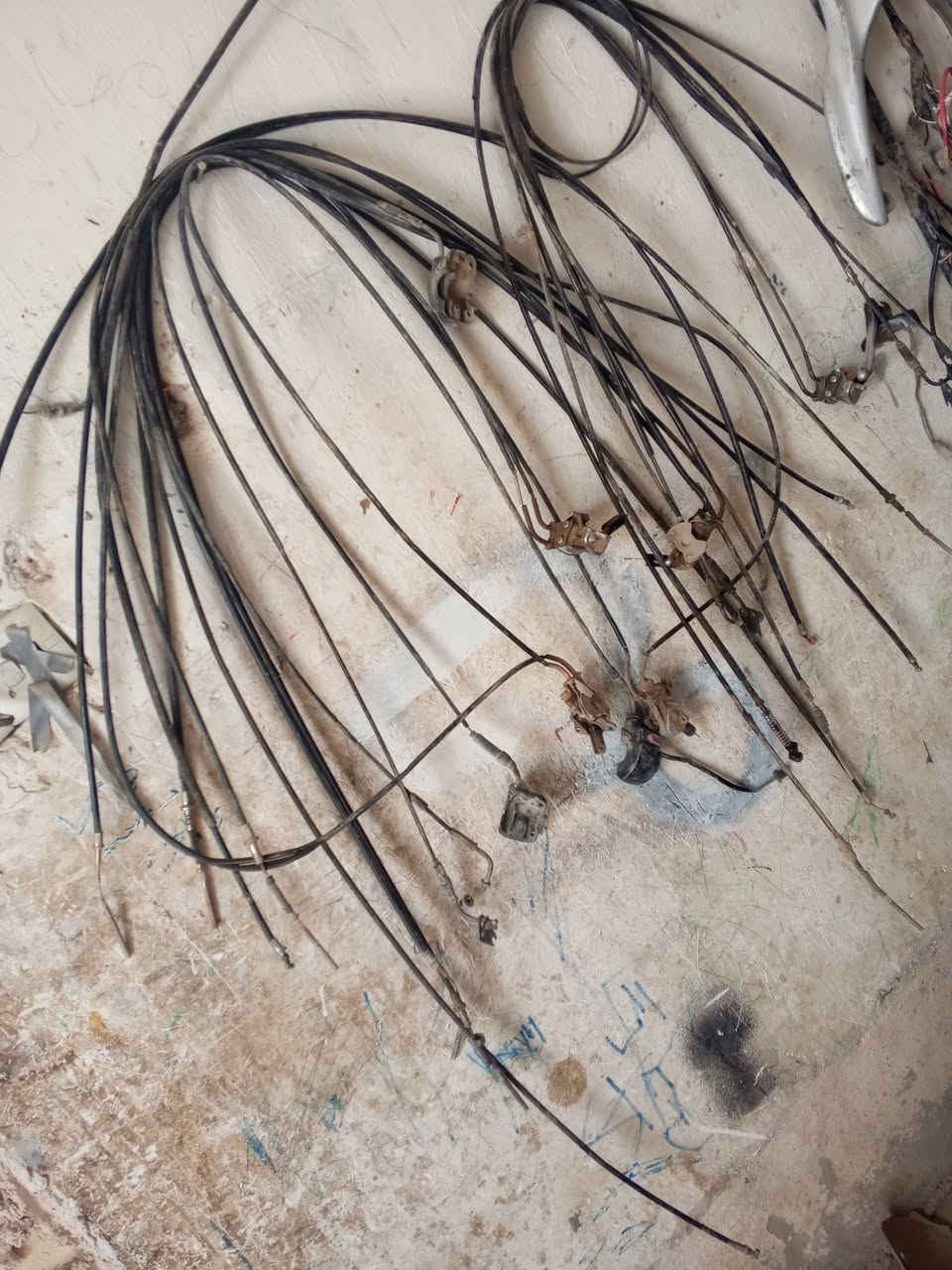 تفصيخ • أكزز • بابل