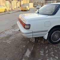 كرسته شبوط • ١٩٩١ • نضيفه
