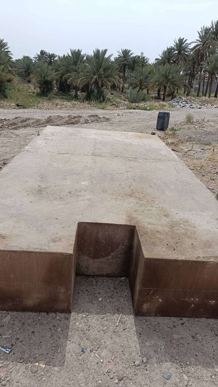 ‏‪***********‬‏
بغداد تاجي
