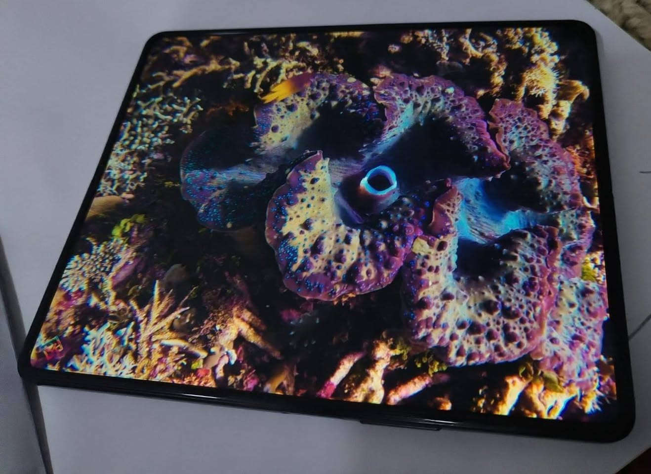 للبيع جهاز Galaxy Z Fold3 5g القابل للطي مستخدم...
جهاز غني عن التعريف من شركة سامسونج بمعالج سناب دراجون 888 5g المخصص للألعاب القوية..
جهاز يجمع بين الآيباد والعادي ..
للمشاهده راح يجي بشاشة Dynamic Amoled
ذاكره اساسية 256 وعشوائية 12 
تأتي الكامرة الأمامية بدقة 16 ميكا بكسل
وبالخلف ثلاث كامرات( الأولى للتصوير الثابت والثانية للزوم والثالثة للتصوير الواسع) حيث تدعم الكامرات تصوير ال4K ...
عزل للضوضاء بوجود اكثر من مايك واحد... 
تدعم السماعات الخارجية صوت ستريو...
يدعم الشحن السريع وايضًا اللاسلكي العكسي بقوة 4.5 واط..
يأتي مع شاحن اصلي من سامسونج وقلم وعدة كفرات. 
راح يكون بسعر 500,000 الف فقط وبي مجال للشراي.
للحجز والأستفسار راسل الرقم واتس اب
***********
مكاني الشعب.
