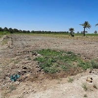 طريق كربلاء بغداد • دونم وربع • واجهة ٢٨م