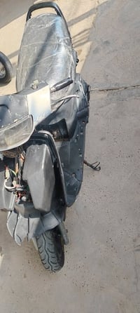 فراشة • فحل • سلف
