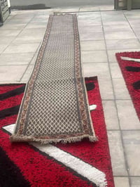 كاربت • عدد ٢