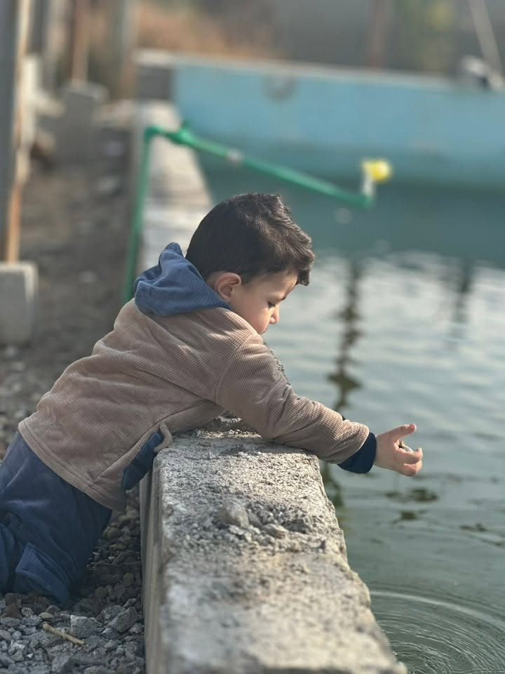 طابو صرف • دونمين وشوية • مسبح جاهز