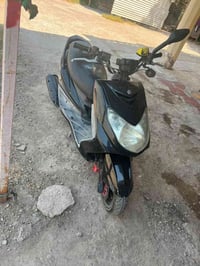 سكنس فحل • جبلي • كل شغال