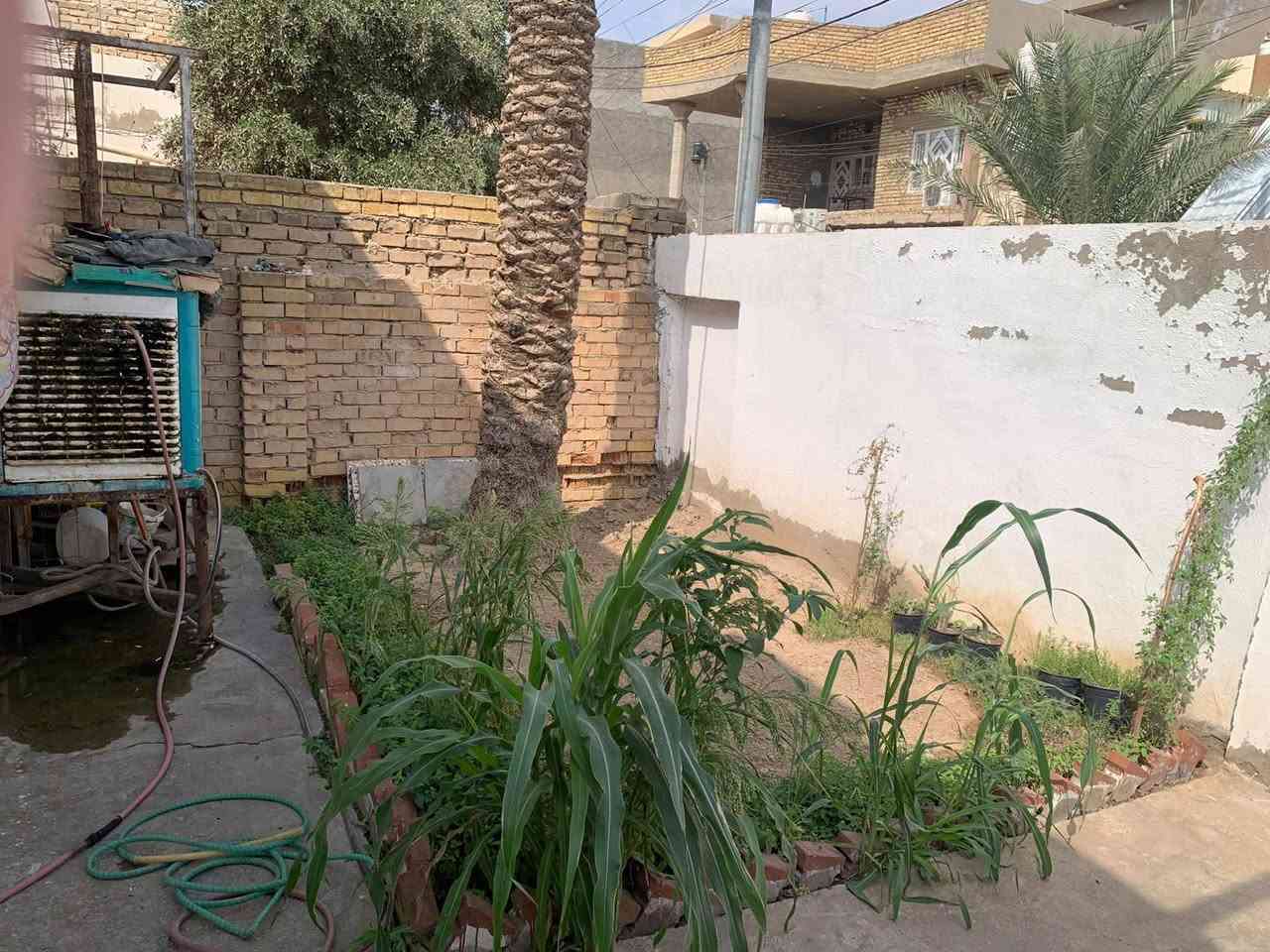 بيت • ٢١٠م • كوت الزهراء