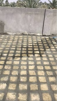 مستعدون شربت وطرازه شغل نضيف سعر مناسب رقم الهاتف 07791441994