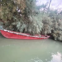 بلم • ابو 15 • الجبايش