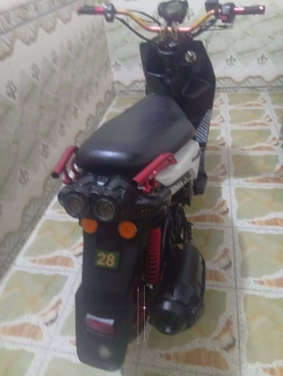 سكنس جبلي • بلاديه • مجال بسيط