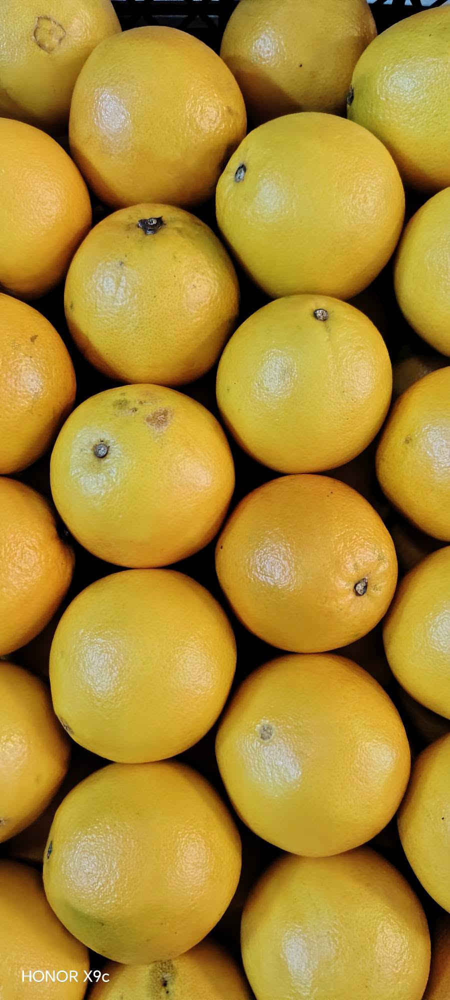خضرة وفواكه • طازج • تشكيلة واسعة
