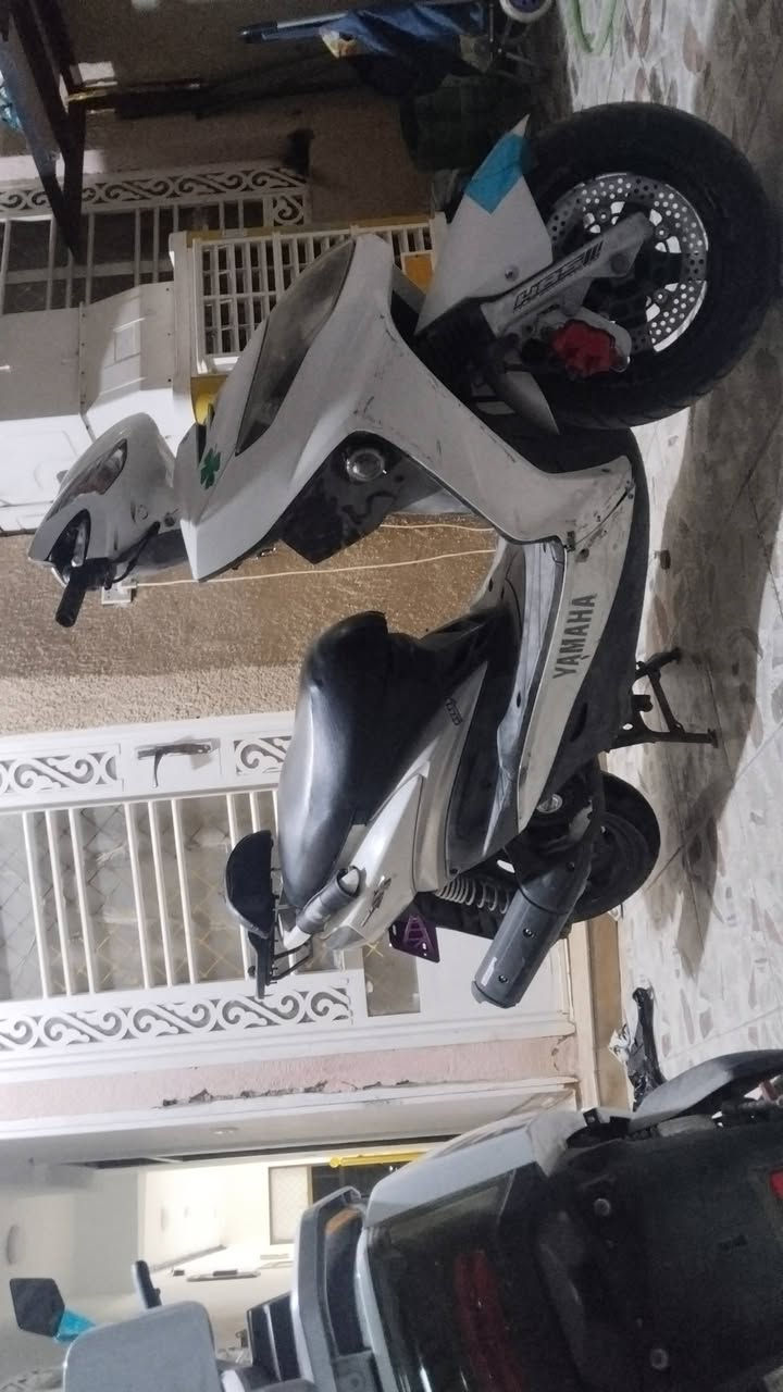 سكنس فحل • محرك بلادي • لايت زنون
