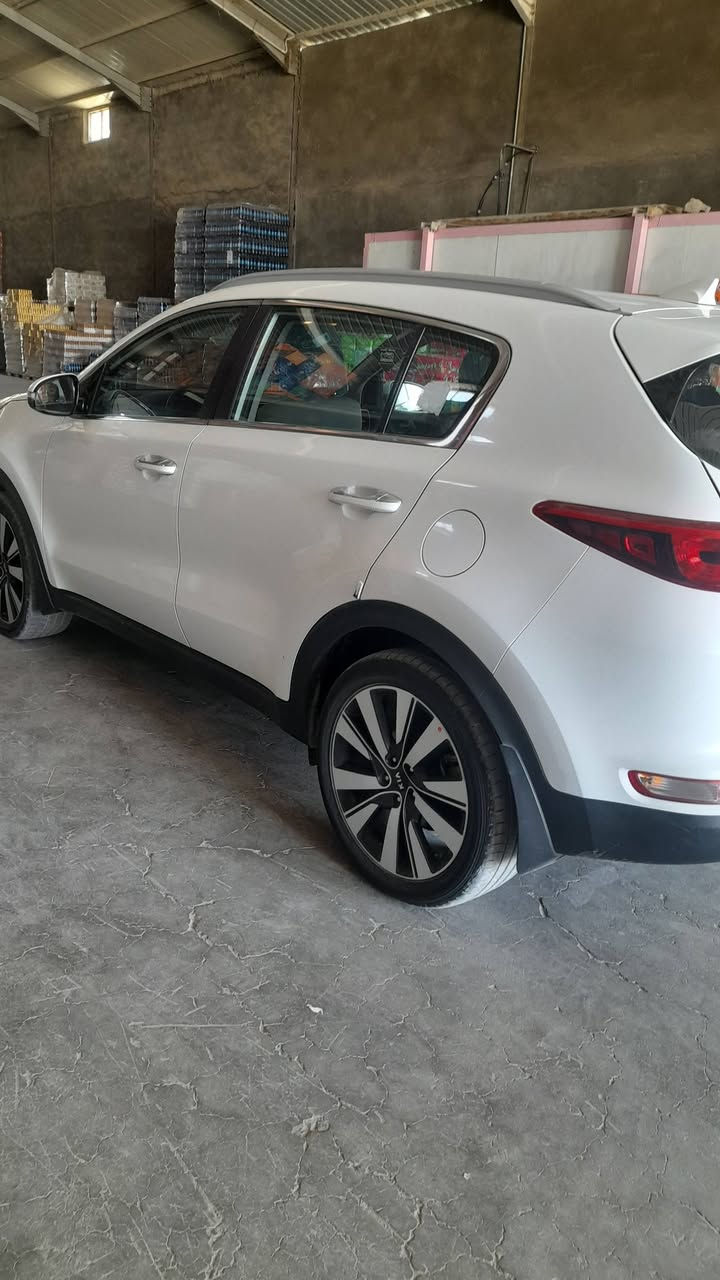 موديل ١٧ كفالة عامة السيارة من الصبغ والتبديل وبارد ورصعة رقم بغداد دولي ماشيه ١٠٠ قابلة للزيادة السعر 170 قفل بدون تفاوض مكاني بابل الإسكندرية للإستفسار ***********
