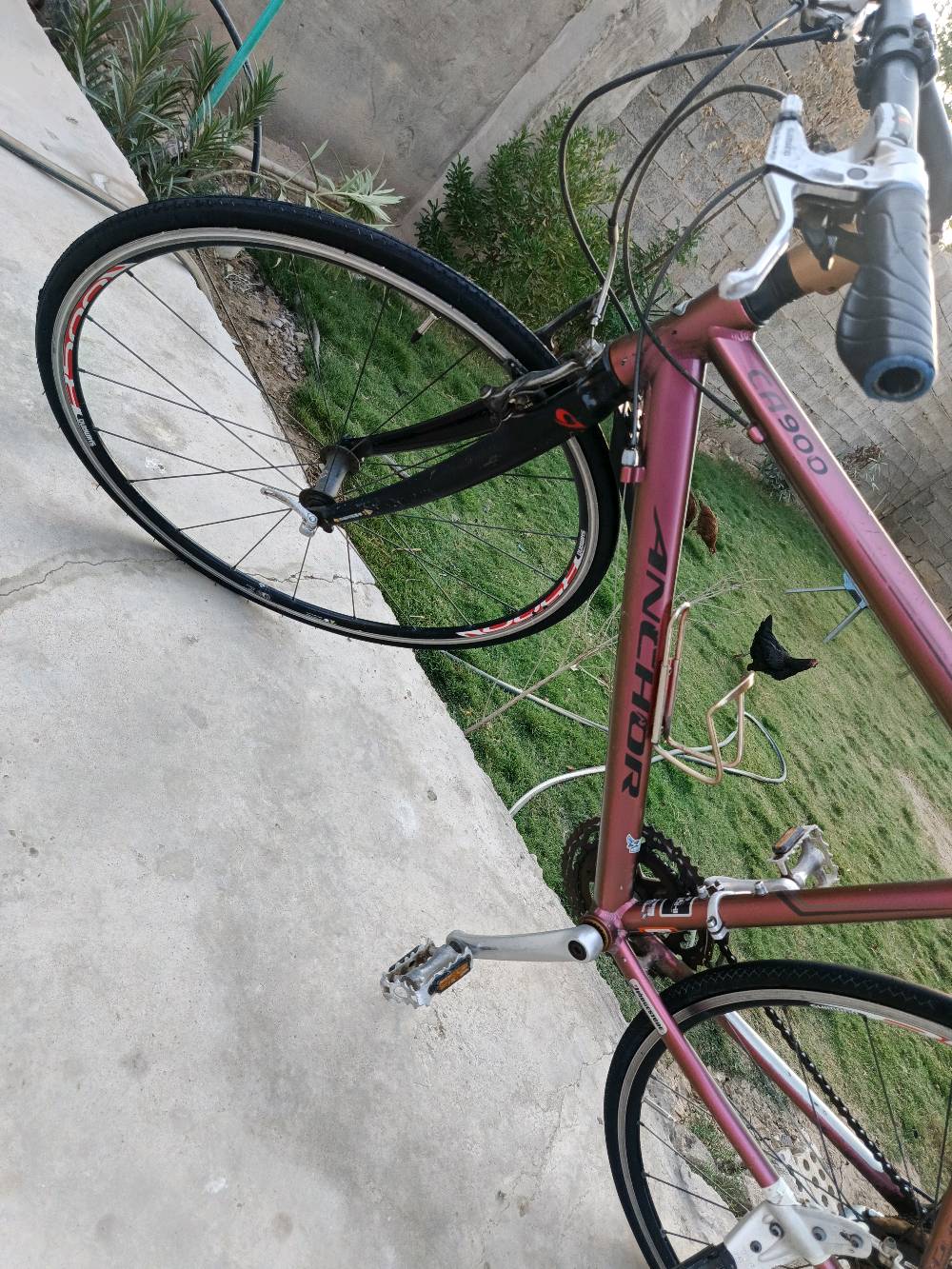 🚲 للبيع | ANCHOR ياباني أصلي 🇯🇵
بايسكل ANCHOR أصلي ياباني من Bridgestone، قياس 700C / 28، رياضي وخفيف ومناسب للمدينة والتمارين والمسافات الطويلة.
✅ ماركة ANCHOR – Bridgestone
✅ وارد ياباني
✅ تبديلات Shimano
✅ 700C / 28
✅ فرامل أمامية وخلفية
✅ جنوط رياضية
✅ الدراجة جاهزة للسياقة
✅ معاها حامل قنينة + رفرف أمامي وخلفي
✅ اللون وردي/عنابي مميز
السعر: 200,000 دينار 💰 قابل للتفاوض بالمعقول
📍 المكان: بغداد هاتف ***********