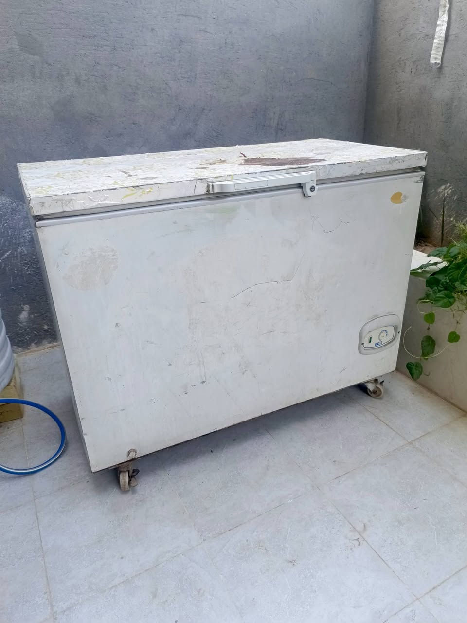 سلام عليكم مجمده شغاله مابيهه شي رايدهه ب 100وبراد مال مي ماعرف شنو بي رايده ب 25 رقمي *********** مكاني خرنابات
