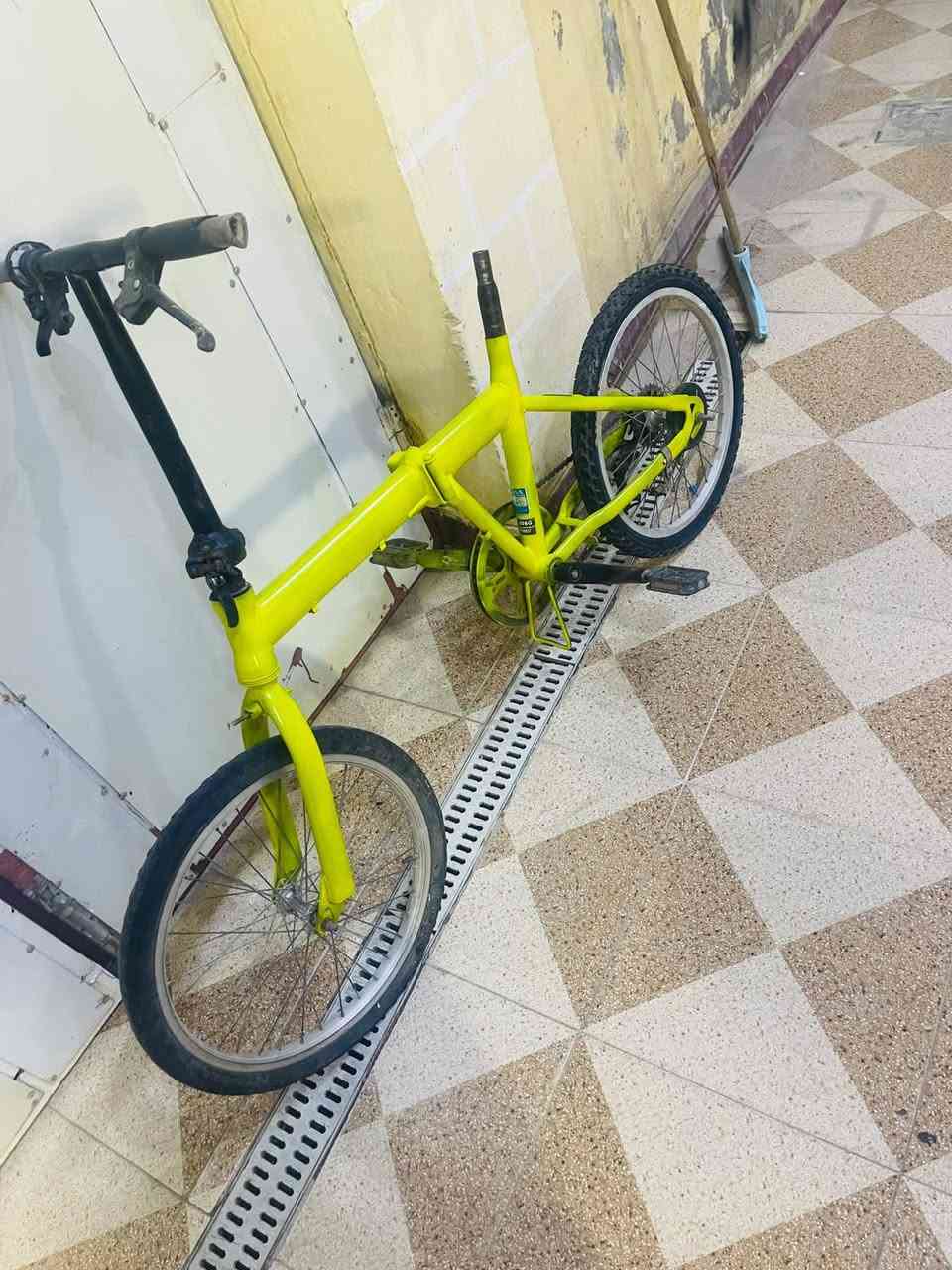 باسكل • حجم ٢٠ • محتاج سرج وواير