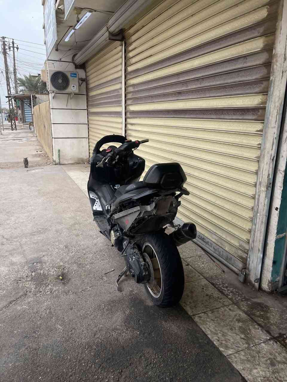 تي ماكس • ٢٠١١ • بدون كضر