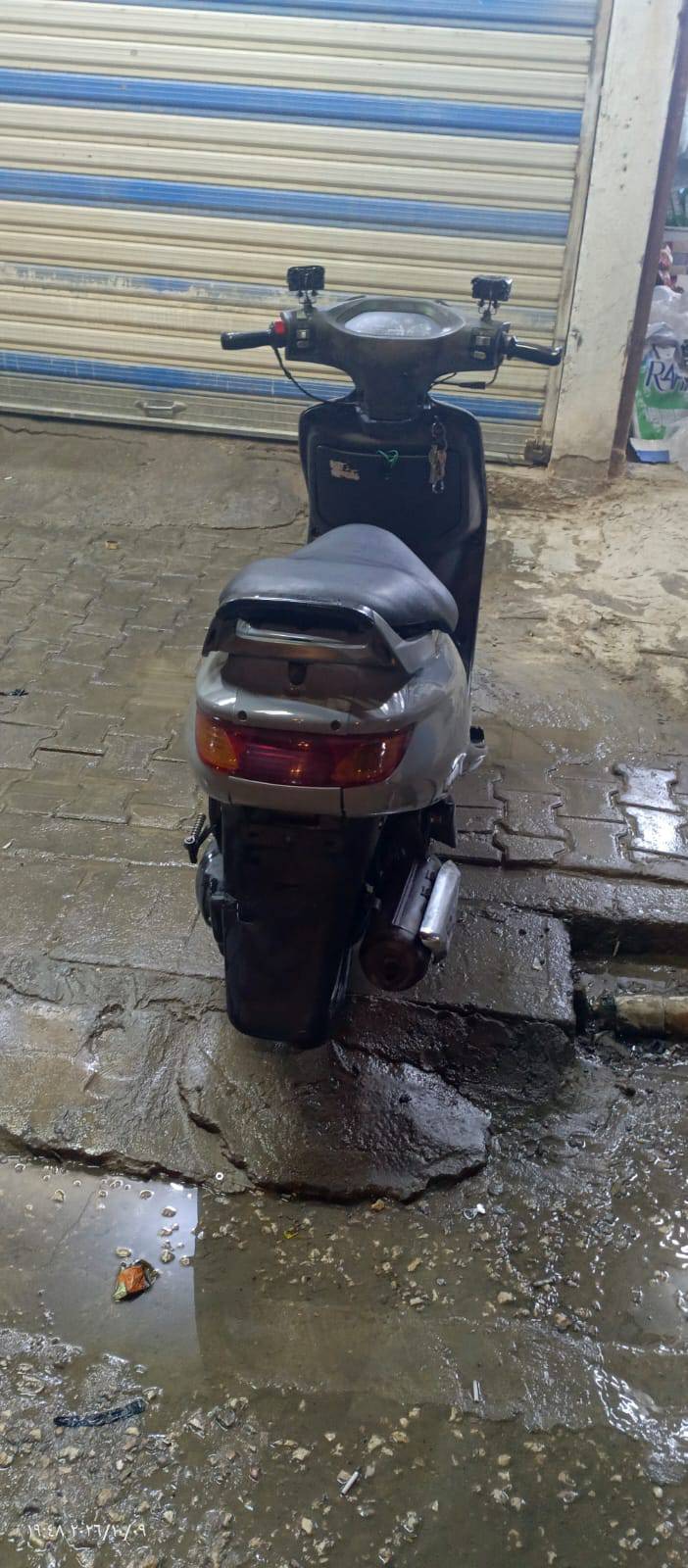 فراشه • جديده • مامفتوحه