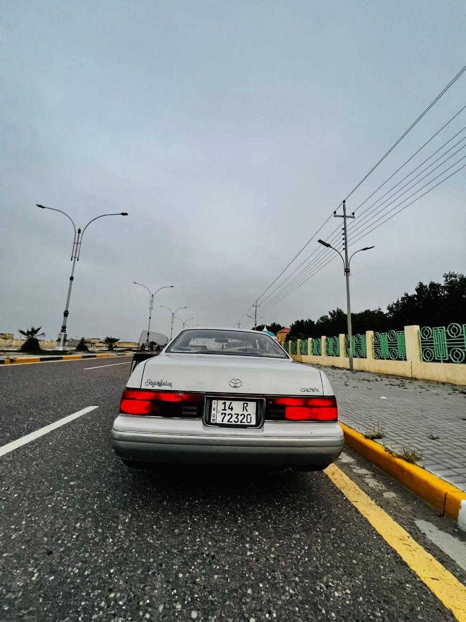 بطه منفصل • حدادية جديدة • تبريد ثلج