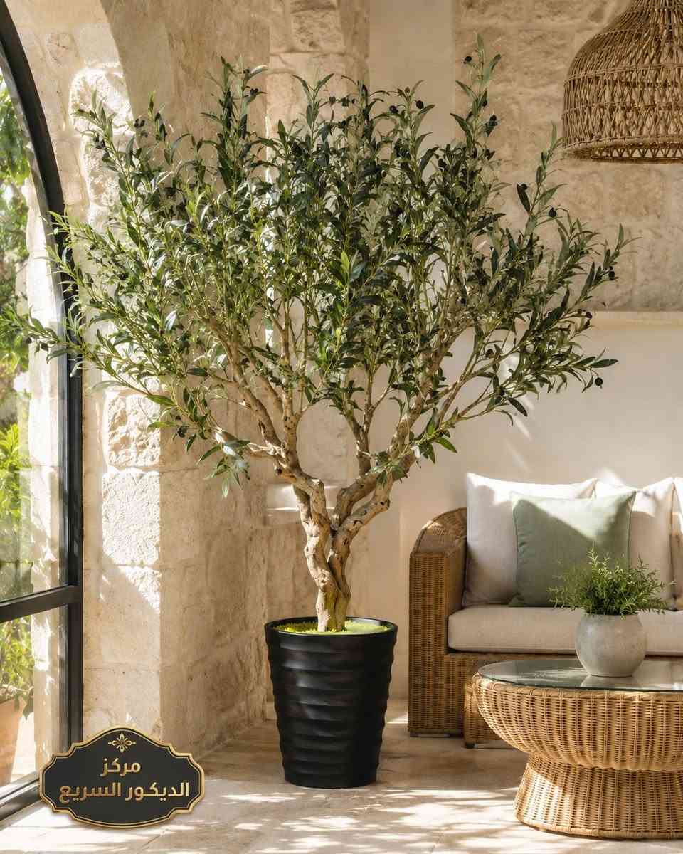 غيّر شكل المكان بلمسة وحدة! 🌿

وصلت تشكيلة مميزة من الأشجار الديكورية بتصاميم أنيقة تناسب البيت، الصالات، المداخل، المكاتب والكوفيات ✨

#المميزات:
✔️ شكل طبيعي وجذاب
✔️ تضيف فخامة وهدوء للمكان
✔️ مناسبة لمختلف أنواع الديكور
✔️ متوفرة بأشكال وأحجام متنوعة
اختار الشجرة اللي تناسب ذوقك وخلي زاوية المكان تصير أجمل 🌱

🚚 #توصيل_متوفر_لكل_المحافظات

📍 #العنوان:
كربلاء / سريع حي المعلمين / داخل شركة أبراج للديكور

📞 #للطلب_والاستفسار:
☎️ *********** ☎️
💬 #واتساب_مباشر:
https://wa.me/9647725000885
🕑 #اوقات_الدوام:
من الساعة 7 صباحًا إلى الساعة 10 مساءً

#مركز_الديكور_السريع
#اشجار_ديكورية
#ديكور
#كربلاء
