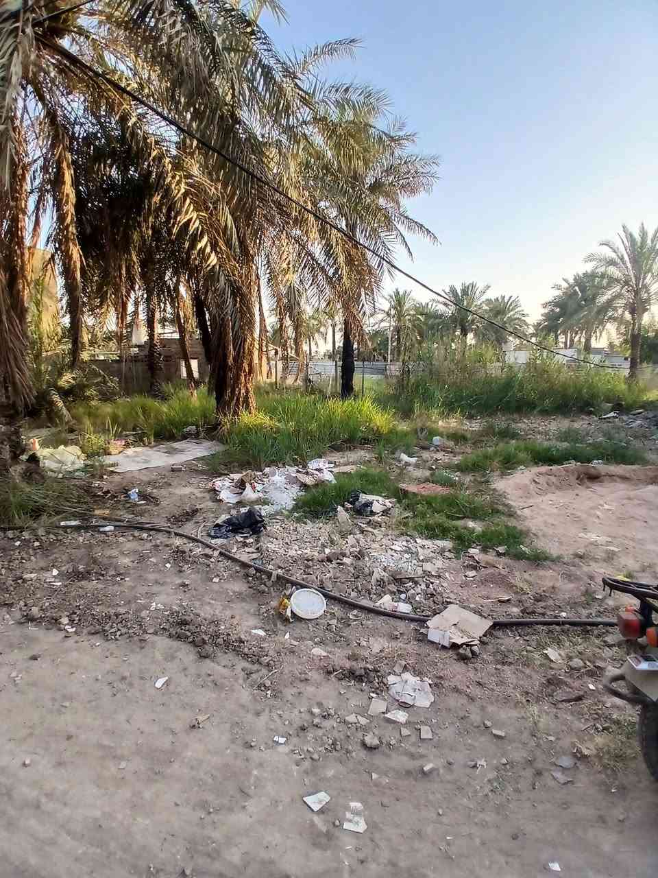 البو عيثة • ٥ دونم • قانون ١