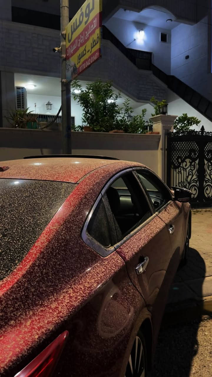 وارد امريكي • فتحة سقف • قطعة تبديل