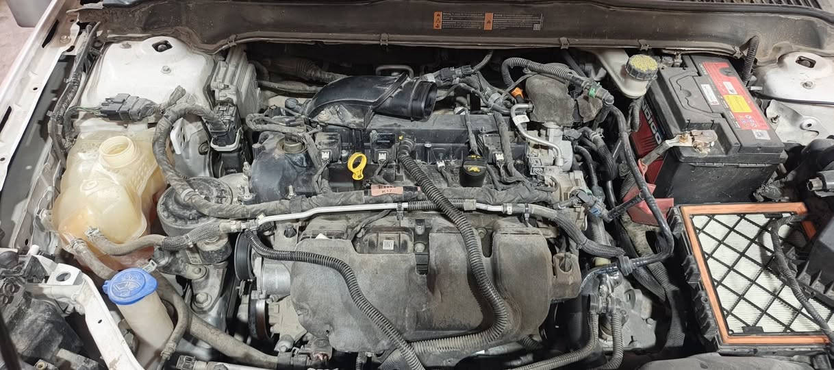Ford fiuson 2019   titanium
2.0 ecobost تغير كازكت 
العنوان السليمانية  حي الصناعي  مقابل الفحص عمر وعثمان
***********

