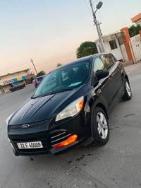 اسكيب ٢٠١٦ • حلبجة • بدون صبغ