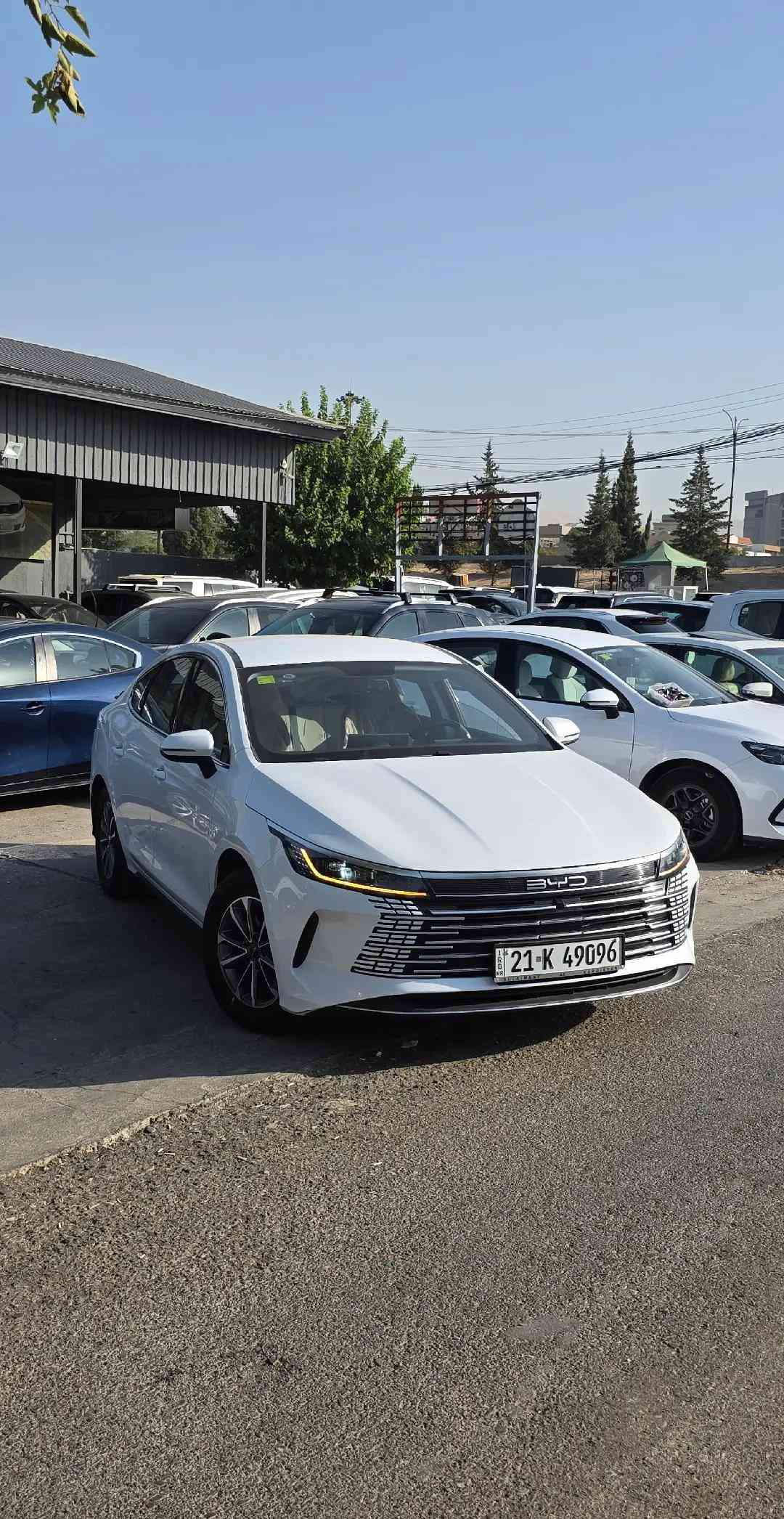 ـ05 BYD ـ2025 بی بۆیاخ مواصفات   ئاوینە ئیشارات ،  ناو سپی ،  کوشن جلد ، گیچ ئەلیکترۆنی ، ویل کڕۆم ، سوکان ڤۆلیوم ، سوکان تەلفون ، کامیرە ، حاسە ، لایت لید ، ویل کڕۆم ، دەسک بصمە ، بگ لایت لید ، دوای حاسە  ـ23.000 Km بۆ زانیاری زیاتر کۆمینت یان پەیوەندی بکە ☎️.  ***********📞 *********** 📞  ناونیشان سلیمانی شەقامی مەلیک محمود  Salahaddin Auto — معرض صلاح الدین  https://maps.app.goo.gl/GTqjTbohj8BvP
