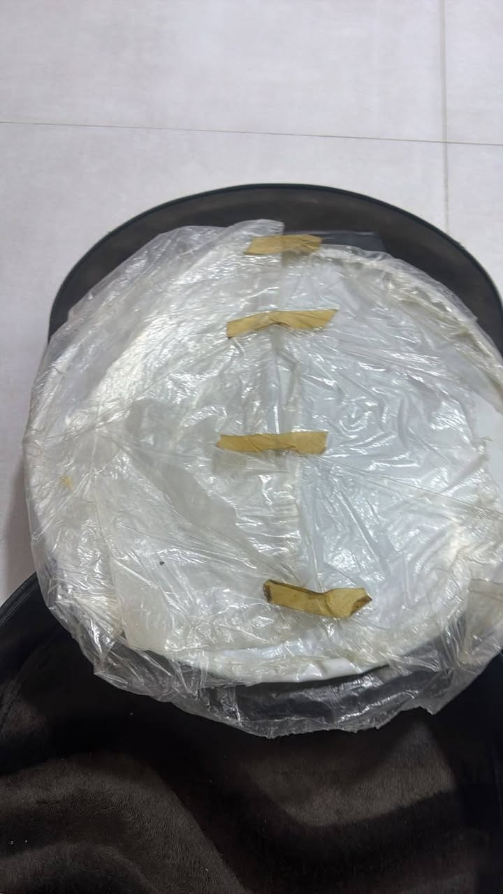 نخلة • حجم ١٤ • جديد