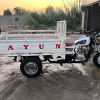 ستوته • ٢٠١٥ • شاصي مكفول