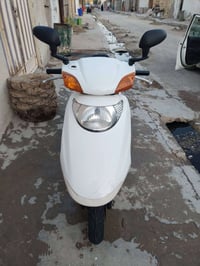 سبسي • ياباني • كهربايات
