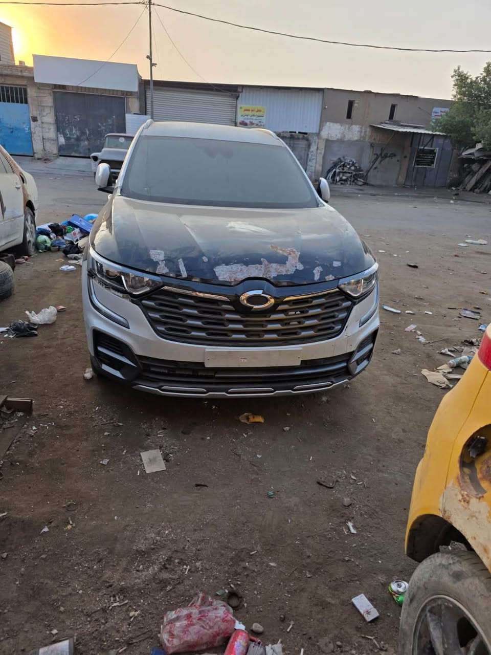 رينو • ٢٠٢٤ • بدون رقم