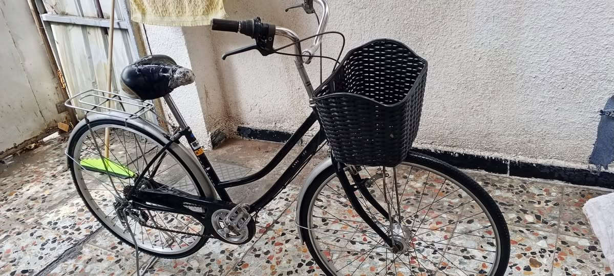 باسكل • حجم ٢٦ • للبيع