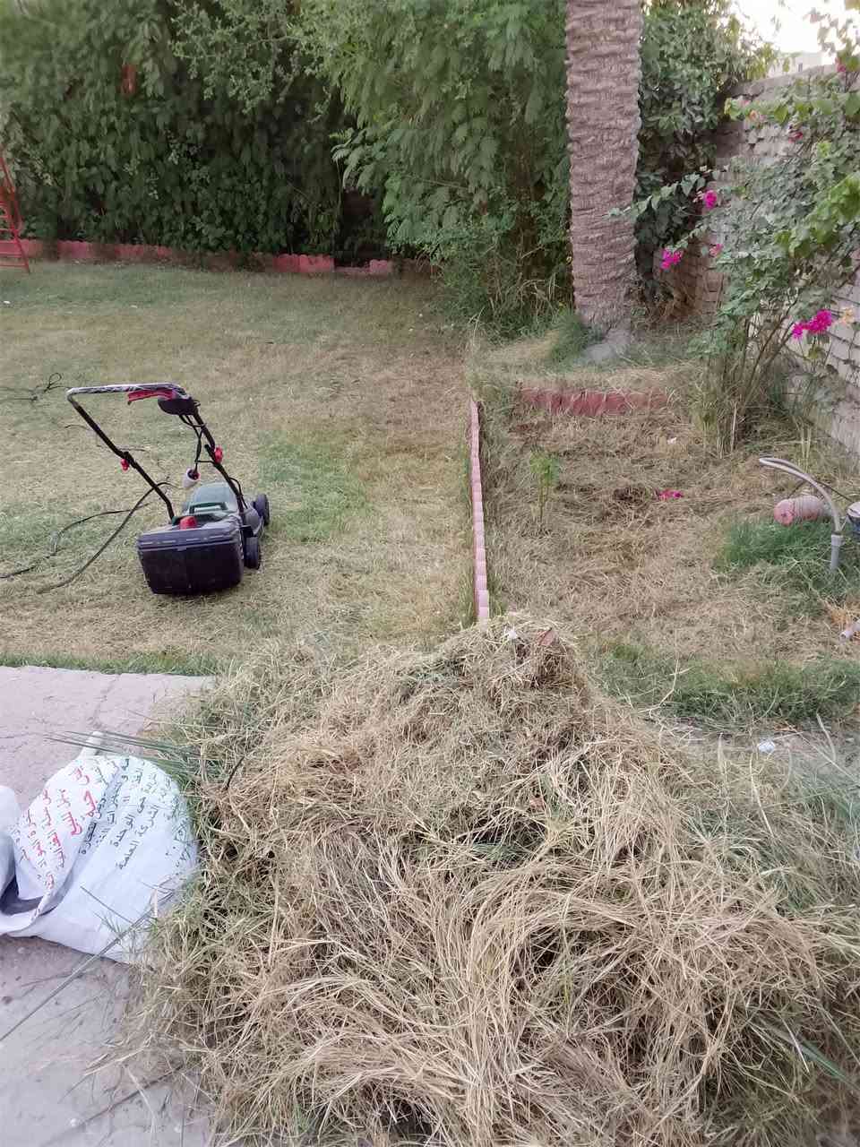 تعديل حدائق • قص شجر